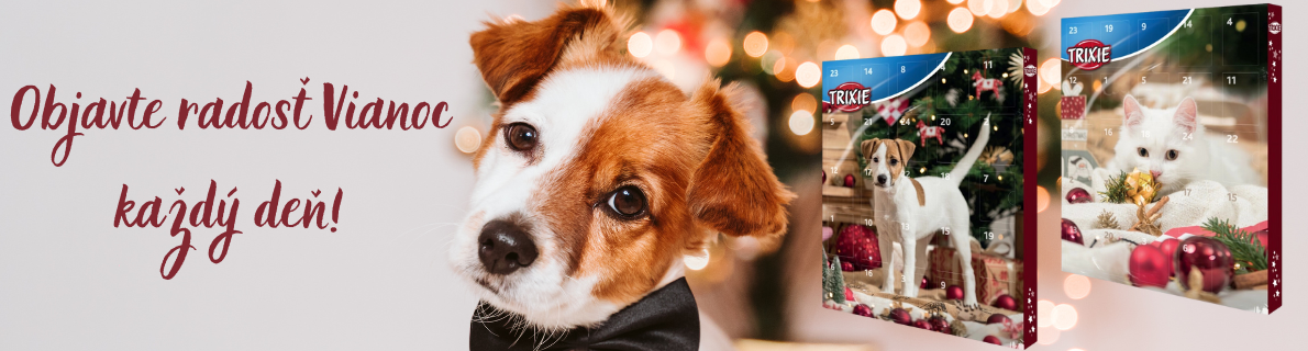 Adventný kalendár 3.11.2025