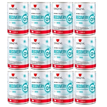 Disugual mokré krmivo pre psov Veterinárne RECOVERY Jahňacie (dospelé) 12x400 g
