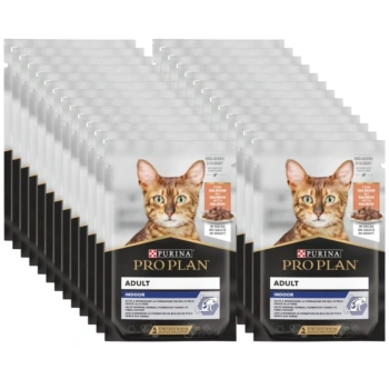 Purina Pro Plan Indoor Adult s lososom pre mačky 26x85g