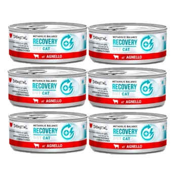 Disugual mokré krmivo pre mačky Veterinárne RECOVERY Jahňacie (dospelé) 6x85 g