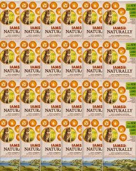 IAMS Prirodzene s novozélandským jahňacím v omáčke 24x85g
