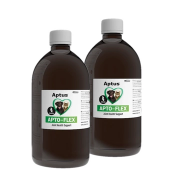 Orion Pharma Aptus Apto-Flex sirup 2x500 ml