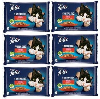 FELIX Fantastické želé z kuracieho a hovädzieho mäsa 12x(4x85g)