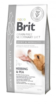 Brit gf veterinary diets dog Mobility 2kg