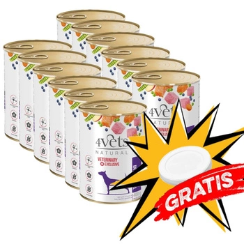 Dolina Noteci 4Vets Gastro Intestinal pre psy 12x400g