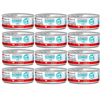 Disugual mokré krmivo pre mačky Veterinárne RECOVERY Jahňacie (dospelé) 12x85 g