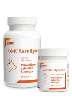 Dolvit karnitín 90 tabliet