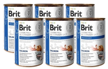 BRIT GF Veterinary Diets Recovery Salmon 6x400g - vlhké krmivo pre psy a mačky