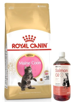 ROYAL CANIN Maine Coon Kitten 10kg + LAB V Lososový olej pre psov a mačky 1000ml