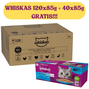 Whiskas Poultry Feast 120x85g Mokré krmivo pre dospelé mačky v želé