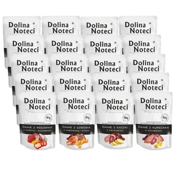 DOLINA NOTECI Dish Mixed Flavors 20x300g - mokré krmivo pre psov