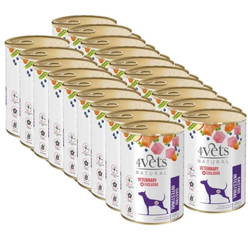 Dolina Noteci 4Vets Gastro Intestinal pre psy 18x400g