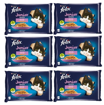FELIX Fantastic Junior kuracie a lososové želé 12x(4x85g)