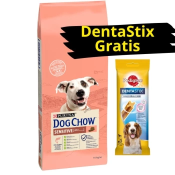 PURINA Dog Chow Adult Sensitive Salmon 14kg + DentaStix ZADARMO!