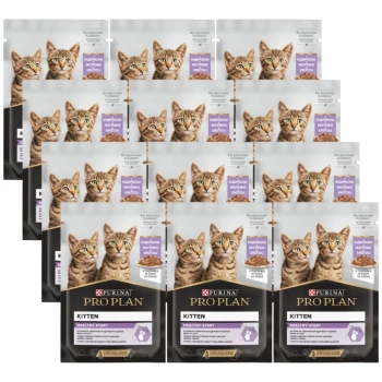 PRO PLAN Nutrisavor Kitten Krmivo pre mačiatka, jemné kúsky s morkou v omáčke 12x85g
