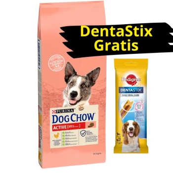 PURINA Dog Chow Adult Active Chicken 14kg + DentaStix ZADARMO!