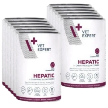 4T Veterinary Diet Hepatic Dog 12x400g