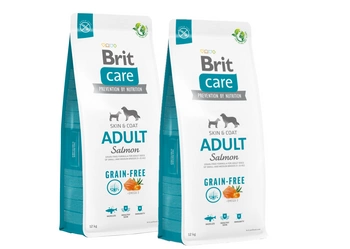 BRIT CARE Grain-free Adult Salmon 2x12kg -3% z ceny