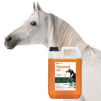 Lab-v Ľanový olej - 100% ľanový olej lisovaný za studena pre kone 5000 ml