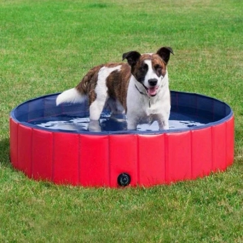 Bazén pre psov, 80x20cm červený + Prekvapenie pre vášho psa ZADARMO!