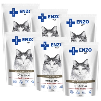 ENZO VET Intestinal  s jahňacím v omáčke pre mačky 6x100g