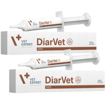 VETEXPERT Diarvet pasta pre psov/mačky 2x20g