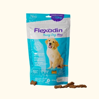 VETOQUINOL Flexadin Young Dog Maxi 60 kapsúl