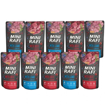 DOLINA NOTECI Mini Rafi mix príchutí 10x150g