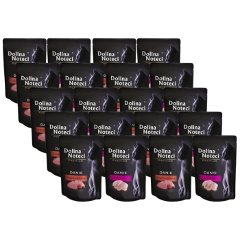 Dolina Noteci Prémiový pokrm Mix chutí 20x85 g