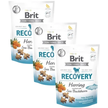Brit care dog functional snack recovery herring 3x150g