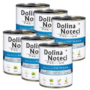Dolina Noteci Premium Pstruh 6x800g