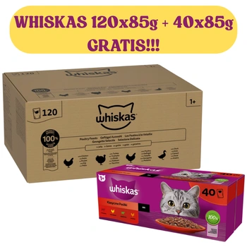 Whiskas Poultry Feast 120x85g Mokré krmivo pre dospelé mačky v želé
