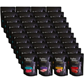 Dolina Noteci Prémiové krmivo Mix chutí pre mačky 40x85g