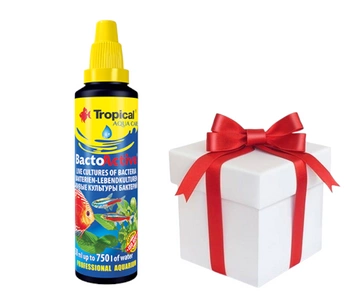 TROPICAL Bacto-Active 250ml + vzorka krmiva pre ryby Tropical GRATIS