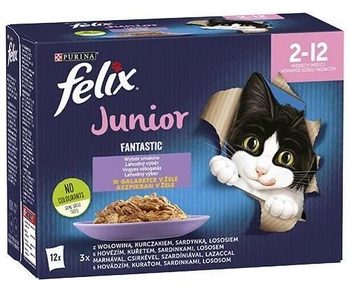 FELIX Fantastic Junior Jelly; 12x85g