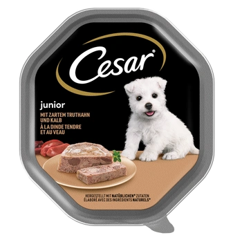 CESAR Junior miska 150 g – kompletné mokré krmivo pre šteniatka, s morčacím mäsom a teľacím mäsom, v paštéte