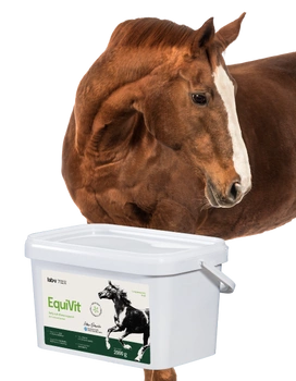 Lab-v EquiVit - diétne krmivo pre kone, podporuje imunitu a kĺby 2kg