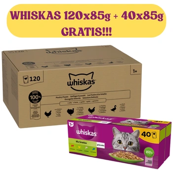 Whiskas Poultry Feast 120x85g Mokré krmivo pre dospelé mačky v želé