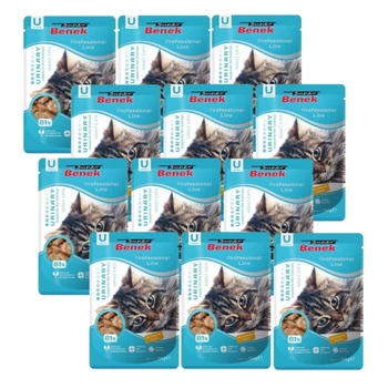 Super Benek Močový sáčok pre mačky 12x100g