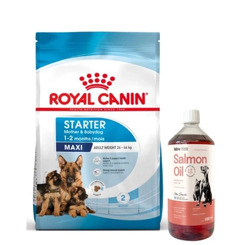 ROYAL CANIN Maxi Starter Mother&Babydog 15kg + LAB V Lososový olej pre psov a mačky 1000ml