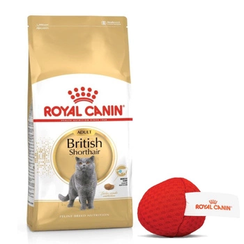 ROYAL CANIN British Shorthair 10kg + ZADARMO mačacia guľa!