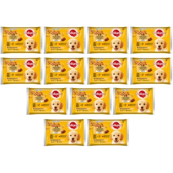 PEDIGREE Junior vrecúško 13x (4x100g) - Výber príchutí s ryžou v želé, kompletné mokré krmivo pre rastúce psy (kúsky bohaté na kuracie mäso a kúsky bohaté na zmes hovädzieho mäsa a pečene)