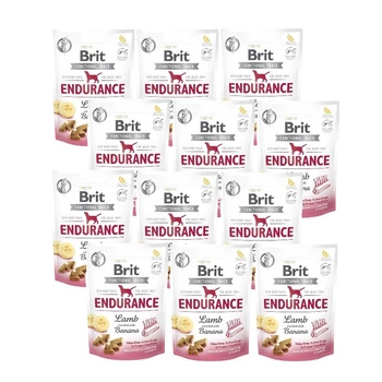 Brit snack Endurance lamb & banana 12x150 g