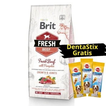 Brit Fresh Beef & Pumpkin Puppy Large Growth & Joints 12kg + 3x DentaStix ZADARMO