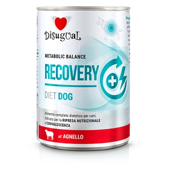 Disugual mokré krmivo pre psov Veterinárne RECOVERY Jahňacie (dospelé) 400 g