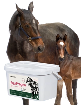 Lab-v EquiPregna - Doplnkové krmivo pre gravidné a dojčiace kobyly na podporu gravidity, vývoja plodu a produkcie mlieka 2kg