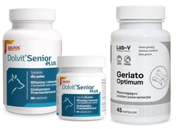 DolfosDolfos Dolvit Senior Plus 90 tabliet + LAB-V Geriato Optimum - Podpora zdravia seniorov pre psov a mačky 45 kapsúl