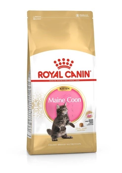 ROYAL CANIN Maine Coon Kitten 2x10kg