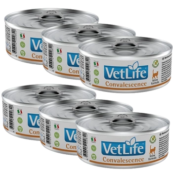 Vet Life Natural Cat konz. Convalescence 6x85g