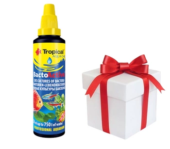 TROPICAL Bacto-Active 30ml + vzorka krmiva pre ryby GRATIS